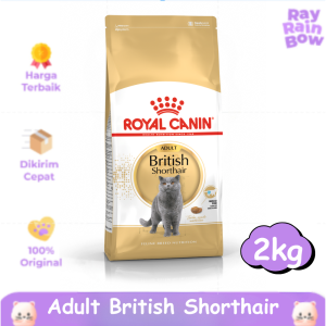 Royal Canin British Shorthair Adult 2kg Makanan Kucing Dewasa