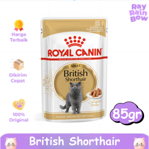 Royal Canin British Shorthair Adult 85gr Makanan Basah Kucing Dewasa