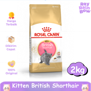 Royal Canin British Shorthair Kitten 2kg Dry Makanan Anak Kucing