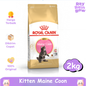 Royal Canin Maine Coon Kitten 2kg Makanan Anak Kucing