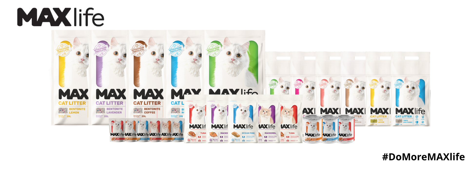 Banner Maxlife Website (1)