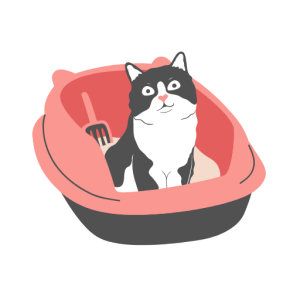 Cat Litter